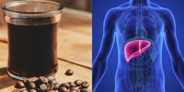 Drinking coffee was always a matter of taste or energy, until the liver entered the picture and turned that habit into a topic of debate