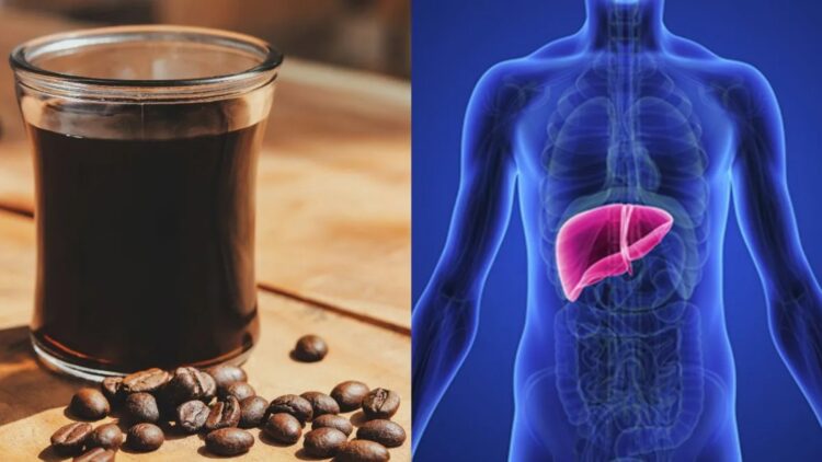 Drinking coffee was always a matter of taste or energy, until the liver entered the picture and turned that habit into a topic of debate