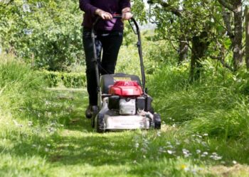 Confirmed by municipalities in the United States—grass that is too long can cost you hundreds of dollars in accumulated fines—here's how you should maintain it to avoid problems 1 Confirmed by municipalities in the United States—grass that is too long can cost you hundreds of dollars in accumulated fines—here's how you should maintain it to avoid problems