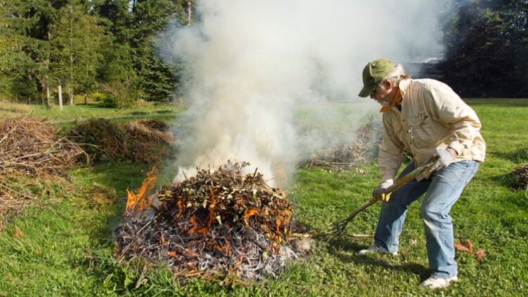 Goodbye to impromptu bonfires in Illinois gardens—new legal framework tightens regulations—and fines already worrying thousands of residents 1 Goodbye to impromptu bonfires in Illinois gardens—new legal framework tightens regulations—and fines already worrying thousands of residents