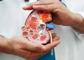 Confirmed by medical science—the new universal kidney removes the blood type barrier and changes what you knew about donations