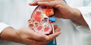 Confirmed by medical science—the new universal kidney removes the blood type barrier and changes what you knew about donations