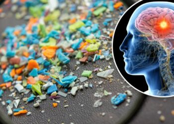 Goodbye to the idea of a pollution-free brain—scientists detect microplastics in the human brain, and the levels are alarming the medical community