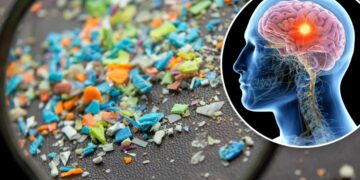 Goodbye to the idea of a pollution-free brain—scientists detect microplastics in the human brain, and the levels are alarming the medical community