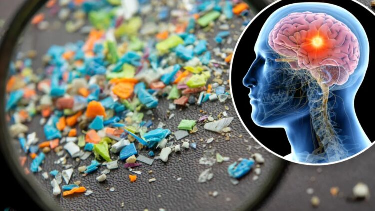 Goodbye to the idea of a pollution-free brain—scientists detect microplastics in the human brain, and the levels are alarming the medical community