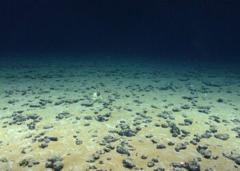 Goodbye to the idea that only plants produce oxygen—scientists reveal a process in the deep ocean that defies NASA without photosynthesis 2 Goodbye to the idea that only plants produce oxygen—scientists reveal a process in the deep ocean that defies NASA without photosynthesis