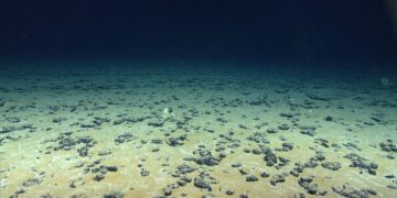 Goodbye to the idea that only plants produce oxygen—scientists reveal a process in the deep ocean that defies NASA without photosynthesis