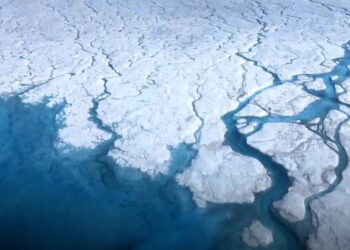 It's official—scientists at the Lamont-Doherty Earth Observatory confirm that sea levels could fall in Greenland while rising in the rest of the world, and there is one key detail that few people know about