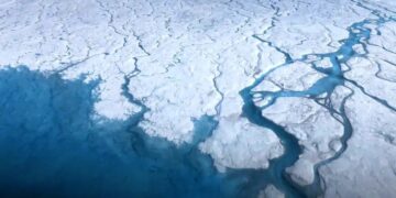 It's official—scientists at the Lamont-Doherty Earth Observatory confirm that sea levels could fall in Greenland while rising in the rest of the world, and there is one key detail that few people know about