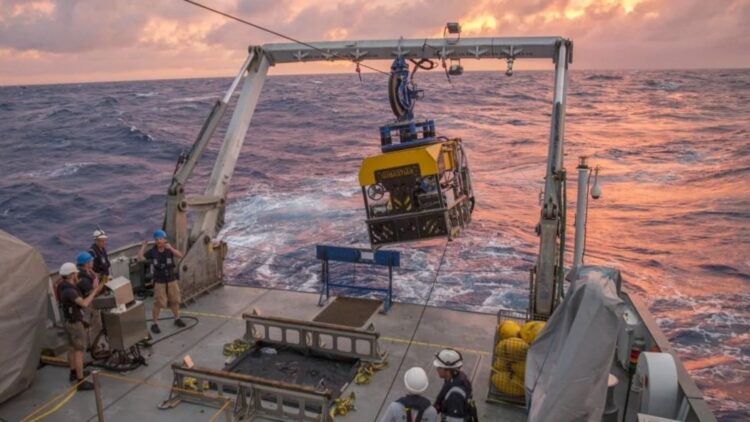 It's official—Argentine researchers identify new species at the bottom of the South Atlantic and surprise the international scientific community