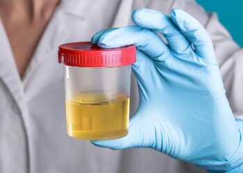 Goodbye to viewing urine as mere waste—scientists have managed to convert it into electricity using microbial fuel cells, and the result may change your idea of energy