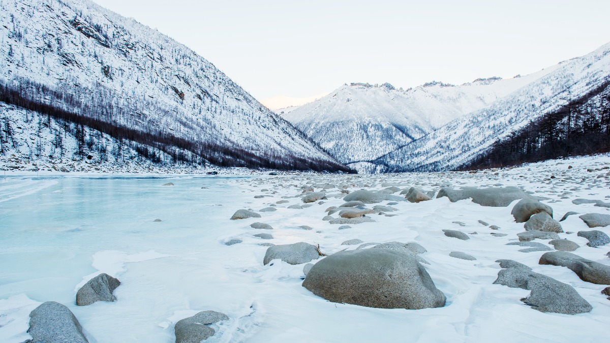 Back To Life After 46 000 Years Scientists Discover Species Frozen Siberia Permafrost Landscape Nature Snow