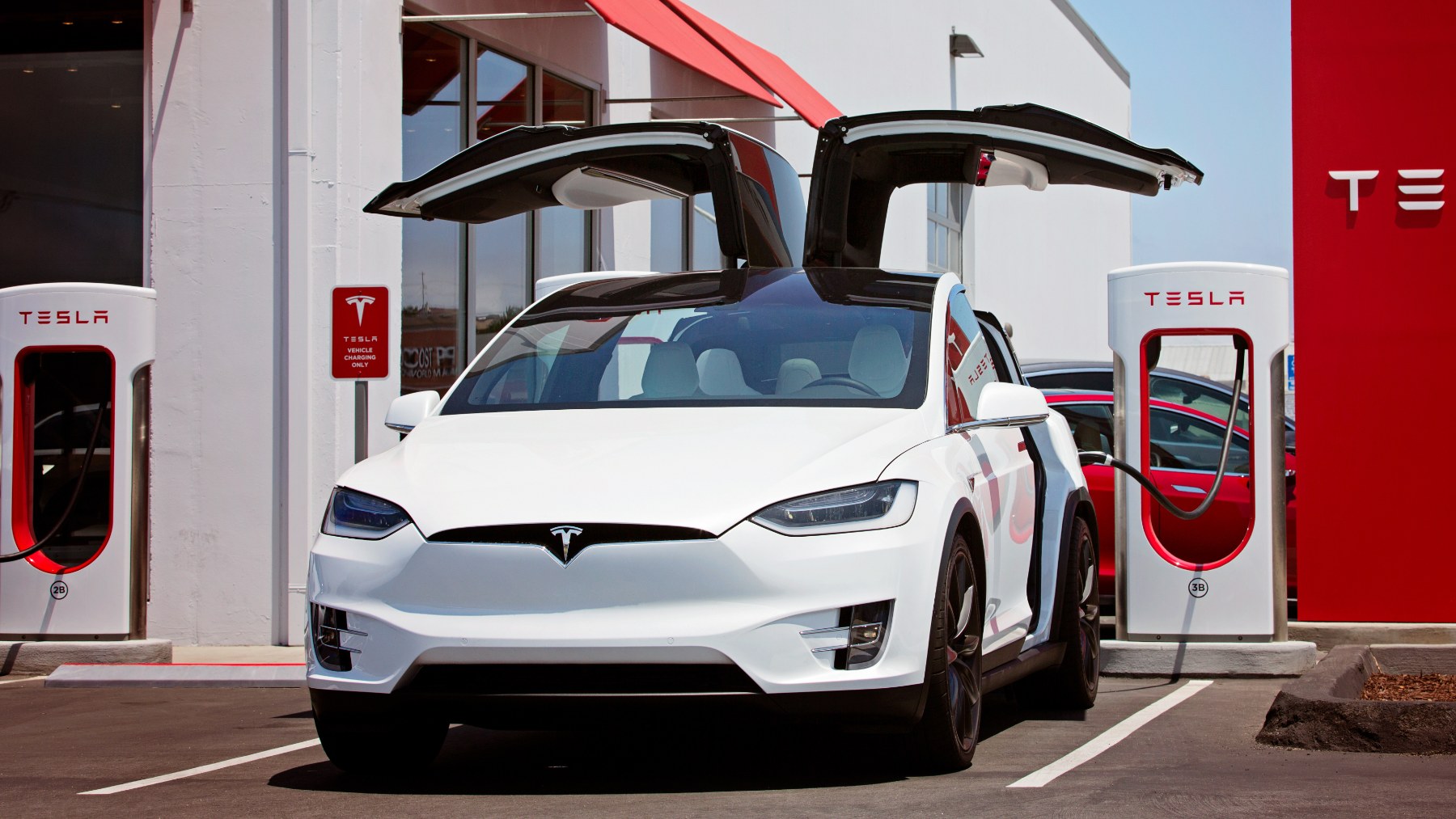 Farewell to Elon Musk’s dominance Farewell to Elon Musk’s dominance