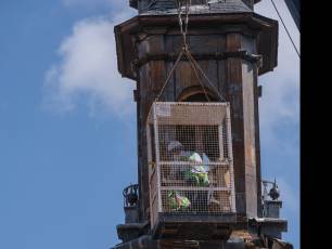 Obras en el chapitel de la torre de la iglesia de San Martin 7 Obras en el chapitel de la iglesia de San Martin