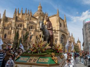 Galería | Palmas y ramos al paso de 'La Borriquilla' 11 Domingo de Ramos. / NEREA LLORENTE