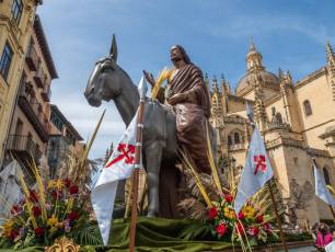 Galería | Palmas y ramos al paso de 'La Borriquilla' 12 Domingo de Ramos. / NEREA LLORENTE