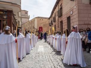 Galería | Palmas y ramos al paso de 'La Borriquilla' 16 Domingo de Ramos. / NEREA LLORENTE