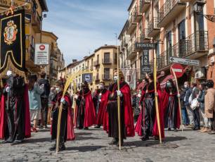 Galería | Palmas y ramos al paso de 'La Borriquilla' 18 Domingo de Ramos. / NEREA LLORENTE