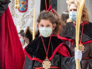 Galería | Palmas y ramos al paso de 'La Borriquilla' 3 Domingo de Ramos. / NEREA LLORENTE