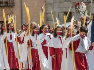 Galería | Palmas y ramos al paso de 'La Borriquilla' 24 Domingo de Ramos. / NEREA LLORENTE