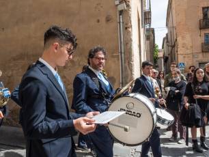 Galería | Palmas y ramos al paso de 'La Borriquilla' 27 Domingo de Ramos. / NEREA LLORENTE