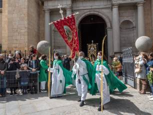 Galería | Palmas y ramos al paso de 'La Borriquilla' 28 Domingo de Ramos. / NEREA LLORENTE
