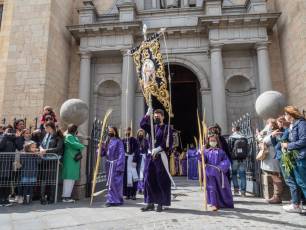 Galería | Palmas y ramos al paso de 'La Borriquilla' 30 Domingo de Ramos. / NEREA LLORENTE