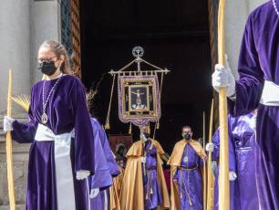 Galería | Palmas y ramos al paso de 'La Borriquilla' 31 Domingo de Ramos. / NEREA LLORENTE