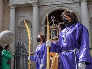 Galería | Palmas y ramos al paso de 'La Borriquilla' 32 Domingo de Ramos. / NEREA LLORENTE