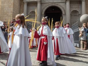 Galería | Palmas y ramos al paso de 'La Borriquilla' 34 Domingo de Ramos. / NEREA LLORENTE