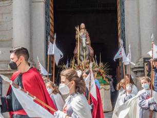 Galería | Palmas y ramos al paso de 'La Borriquilla' 5 Domingo de Ramos. / NEREA LLORENTE