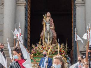 Galería | Palmas y ramos al paso de 'La Borriquilla' 6 Domingo de Ramos. / NEREA LLORENTE