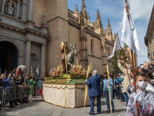 Galería | Palmas y ramos al paso de 'La Borriquilla' 8 Domingo de Ramos. / NEREA LLORENTE