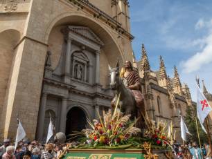 Galería | Palmas y ramos al paso de 'La Borriquilla' 9 Domingo de Ramos. / NEREA LLORENTE