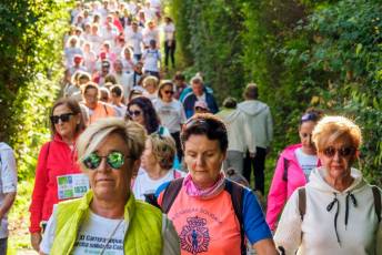Galería | Carrera Popular y Marcha Solidaria de la Fundación Caja Rural 4 Caja Rural Carrera Marcha Solidaria