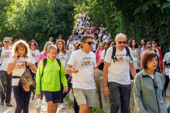 Galería | Carrera Popular y Marcha Solidaria de la Fundación Caja Rural 14 Caja Rural Carrera Marcha Solidaria