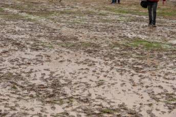 Galería | Cross de Cantimpalos 43 Atletismo Cross Cantimpalos