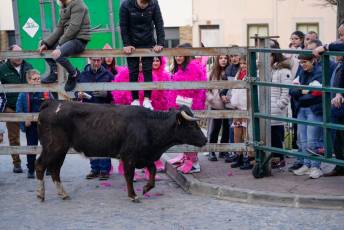 Fotogalería Carnaval Carbonero El Mayor 5 CARNAVAL CARBONERO EL MAYOR