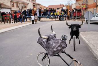 Fotogaleria V Carnaval Taurino en Garcillán 3 V CARNAVAL TAURINO GARCILLÁN