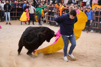 Fotogaleria V Carnaval Taurino en Garcillán 22 V CARNAVAL TAURINO GARCILLÁN