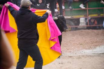 Fotogaleria V Carnaval Taurino en Garcillán 23 V CARNAVAL TAURINO GARCILLÁN