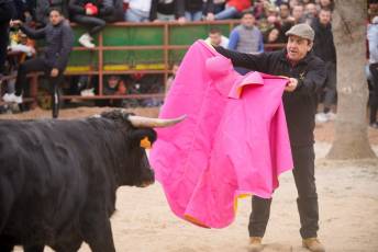 Fotogaleria V Carnaval Taurino en Garcillán 24 V CARNAVAL TAURINO GARCILLÁN