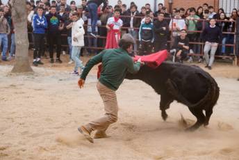 Fotogaleria V Carnaval Taurino en Garcillán 15 V CARNAVAL TAURINO GARCILLÁN