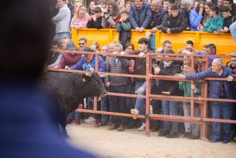 Fotogaleria V Carnaval Taurino en Garcillán 30 V CARNAVAL TAURINO GARCILLÁN