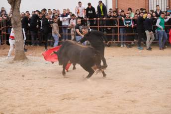 Fotogaleria V Carnaval Taurino en Garcillán 45 V CARNAVAL TAURINO GARCILLÁN