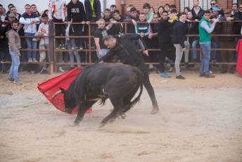 Fotogaleria V Carnaval Taurino en Garcillán 49 V CARNAVAL TAURINO GARCILLÁN