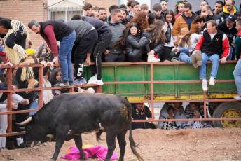 Fotogaleria V Carnaval Taurino en Garcillán 37 V CARNAVAL TAURINO GARCILLÁN