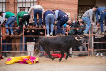Fotogaleria V Carnaval Taurino en Garcillán 55 V CARNAVAL TAURINO GARCILLÁN