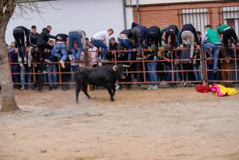 Fotogaleria V Carnaval Taurino en Garcillán 56 V CARNAVAL TAURINO GARCILLÁN