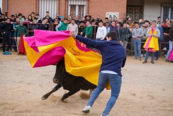 Fotogaleria V Carnaval Taurino en Garcillán 47 V CARNAVAL TAURINO GARCILLÁN